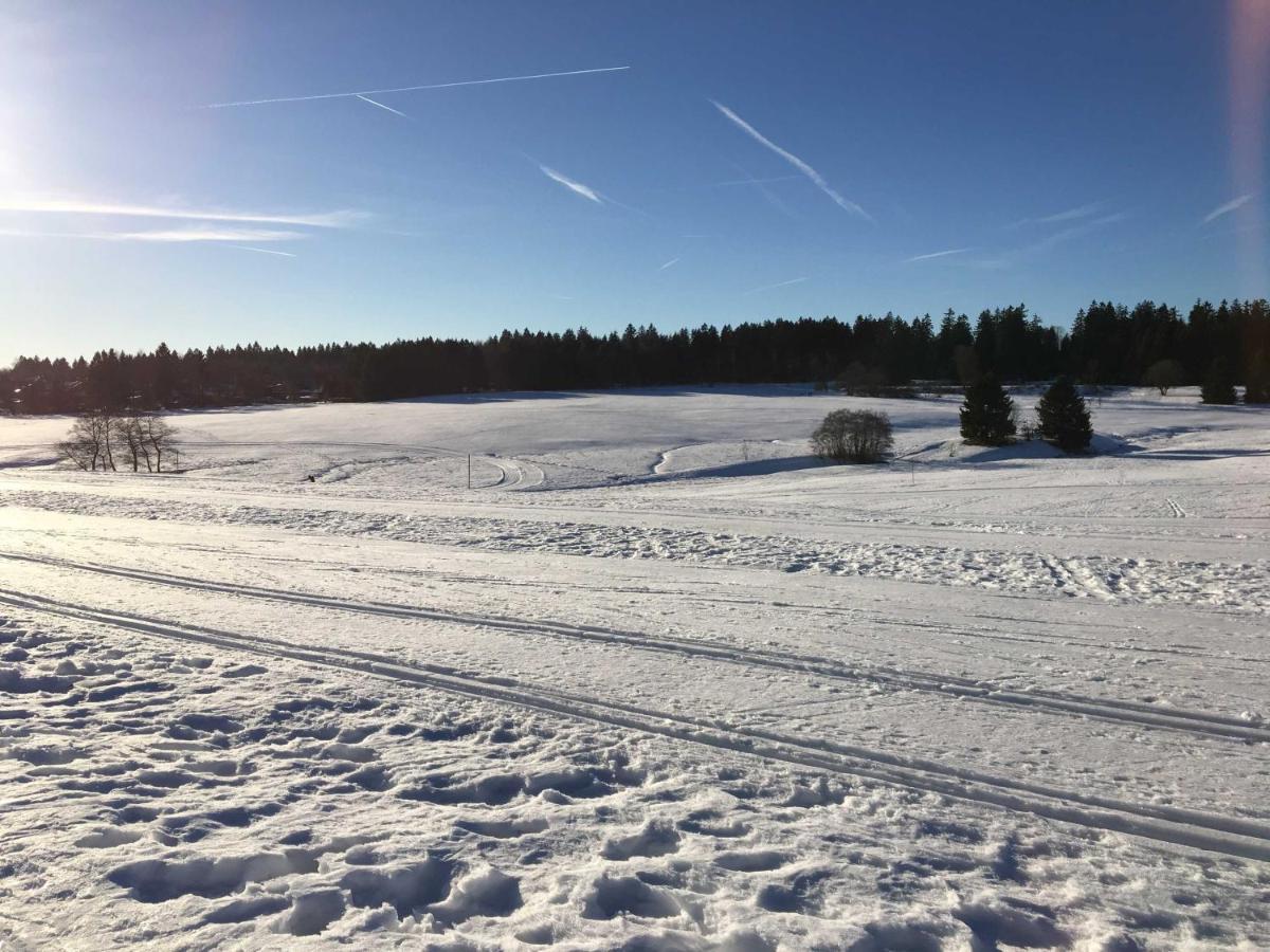Privatvermietung Ina Buntenbock Exterior foto